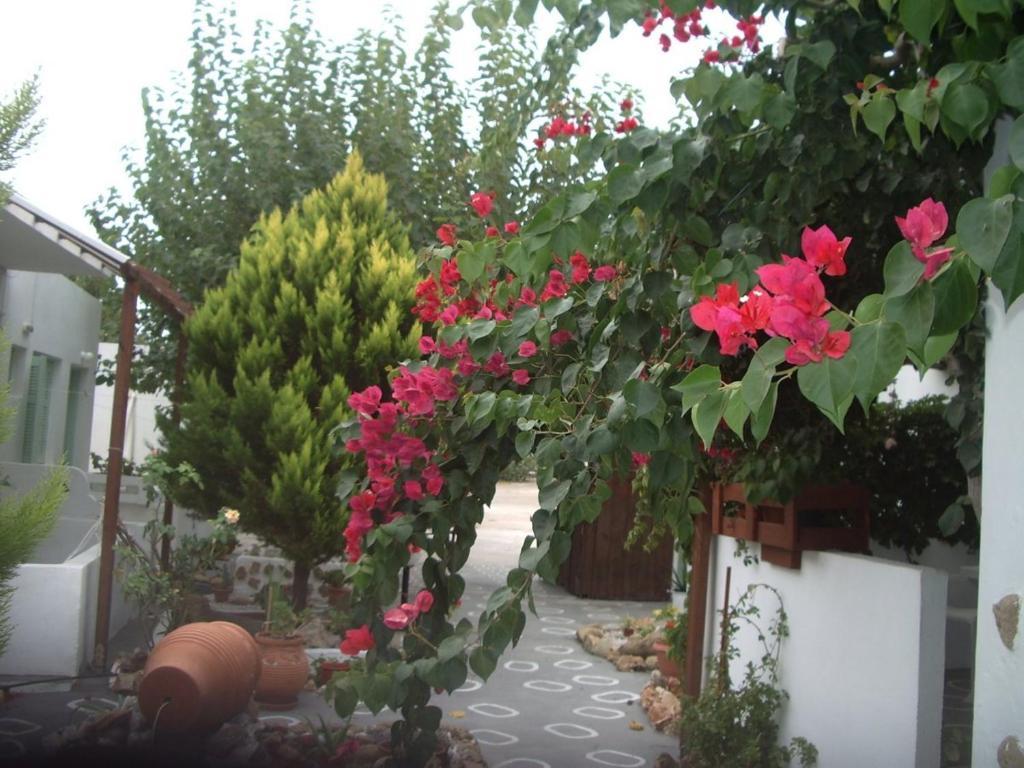 Skyros Panorama Studios ภายนอก รูปภาพ